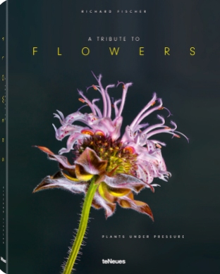 © A Tribute to Flowers - Plants under Pressure by Richard Fischer, published by teNeues